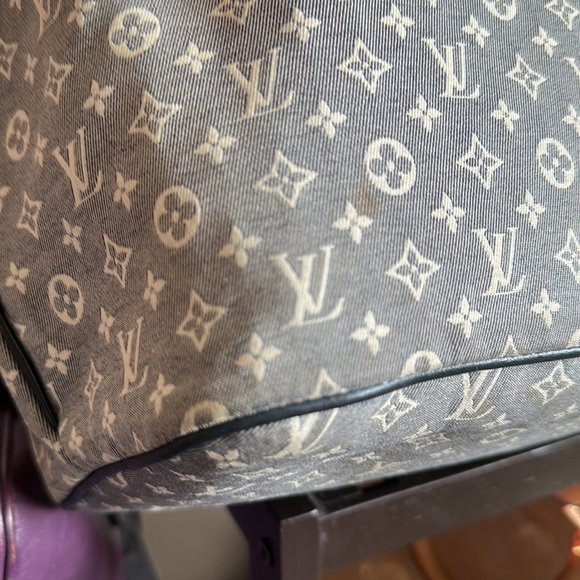 Louis Vuitton Neverfull Minilin - Picture 10 of 13